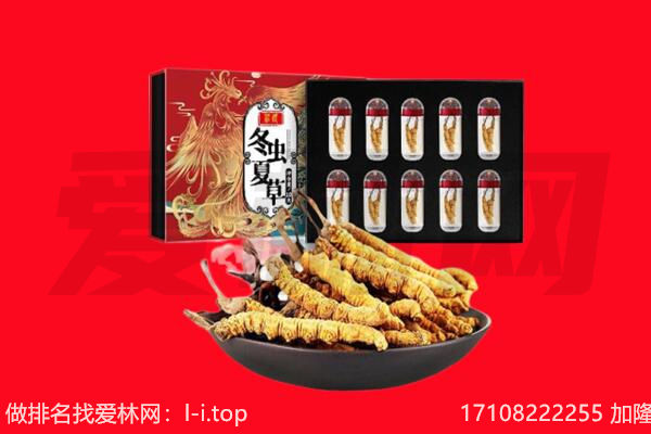 西沙区回收虫草.jpg